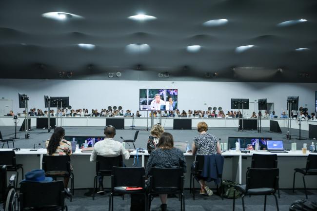 View of the room while the Subsidiary Body chairs report back on the outcomes of the consultations on the implementation of Article 9.1
