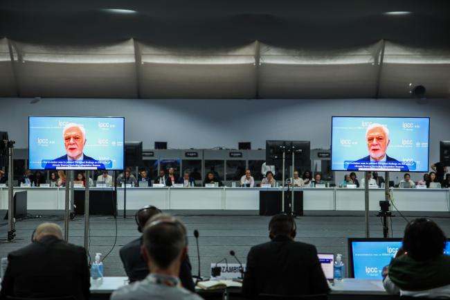Intergovernmental Panel on Climate Change Chair Jim Skea