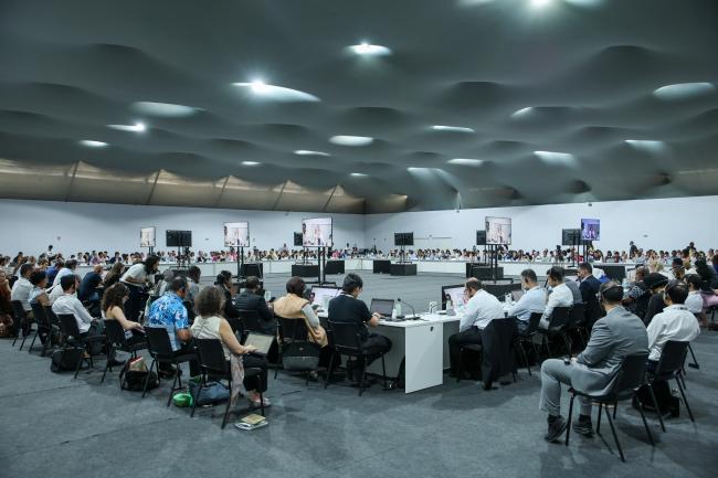 View of the room during the COP 30 Presidency consultations