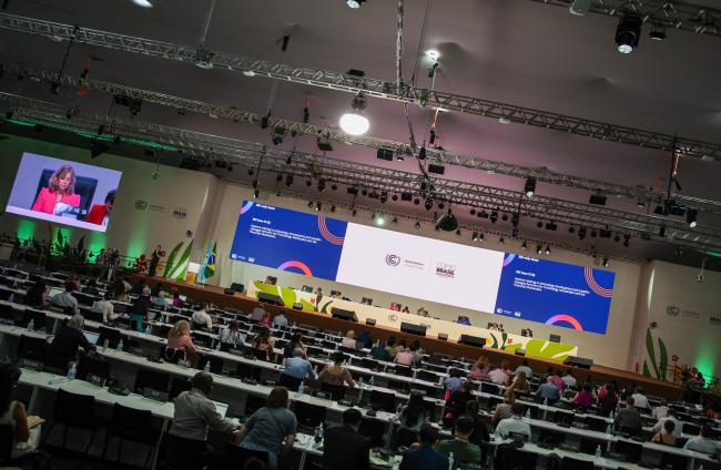 SB Plenary