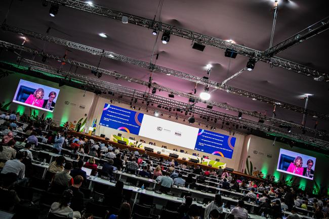 View of the room during the evening plenary