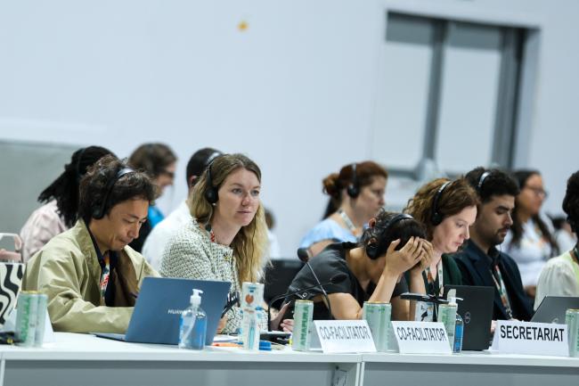 View of the dais during informal consultations on the Global Goal on Adaptation