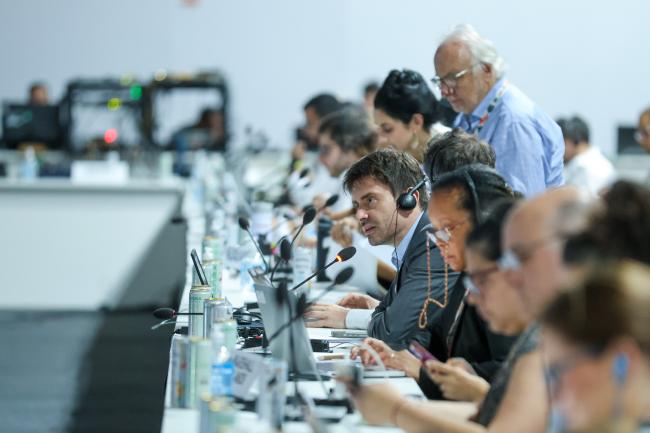 Túlio Andrade, COP 30 Presidency