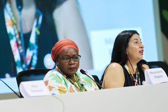 Mwanahamaisi Singano, Women's Environment and Development Organization