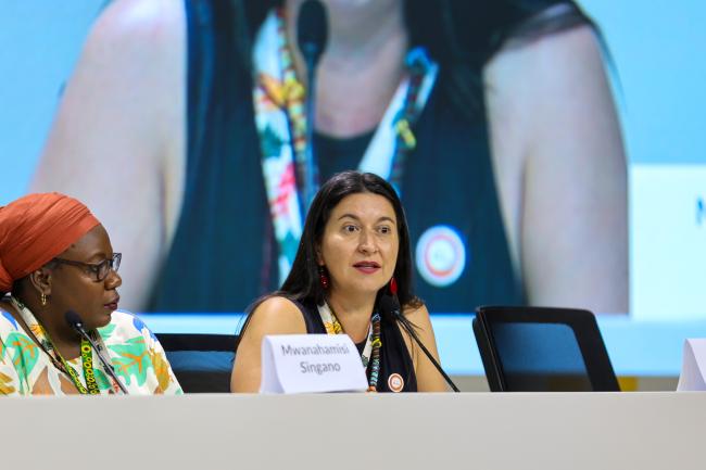 Michelle Ferreti, Instituto Alziras