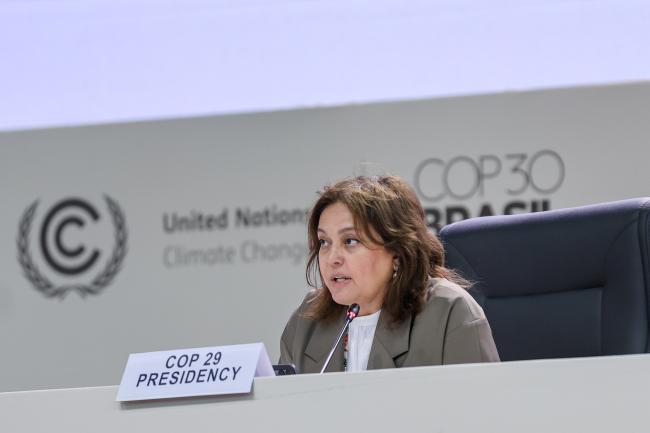 Umayra Taghiyeva, COP 29 Presidency