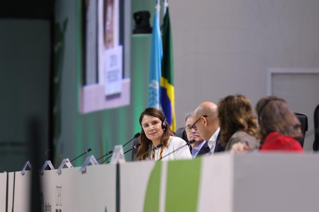 COP 30 Chief Executive Officer Ana Toni