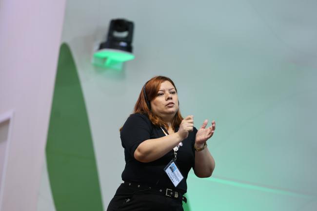 Sign language interpretation during the plenaries