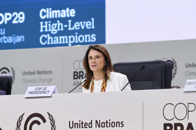 COP 30 Chief Executive Officer Ana Toni