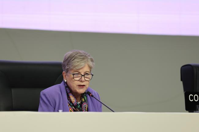 Alicia Bárcena Ibarra, Secretary of the Environment and Natural Resources, Mexico