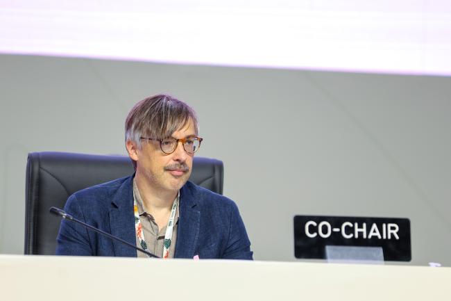 Krzysztof Bolesta, Secretary for Climate and Environment, Poland