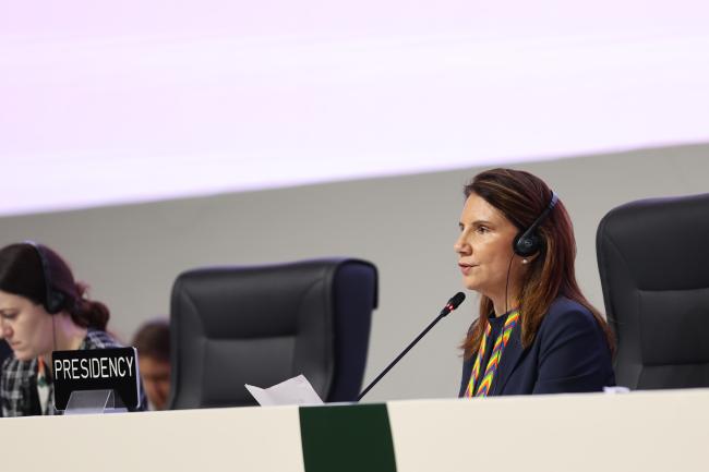 COP 30 Chief Executive Officer Ana Toni