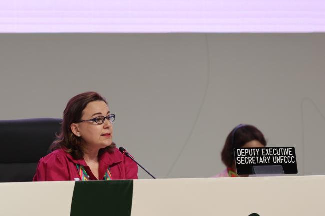 UNFCCC Deputy Executive Secretary Noura Hamladji