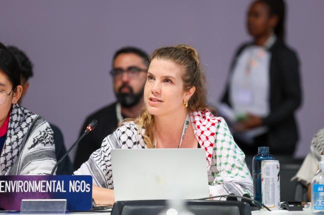 Caroline Brouillette, Environmental non-governmental organizations (ENGO)