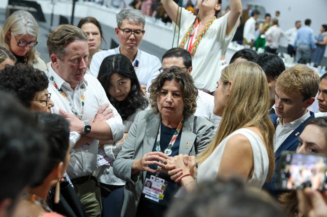 Liliam Beatris Chagas de Moura, COP 30 Presidency