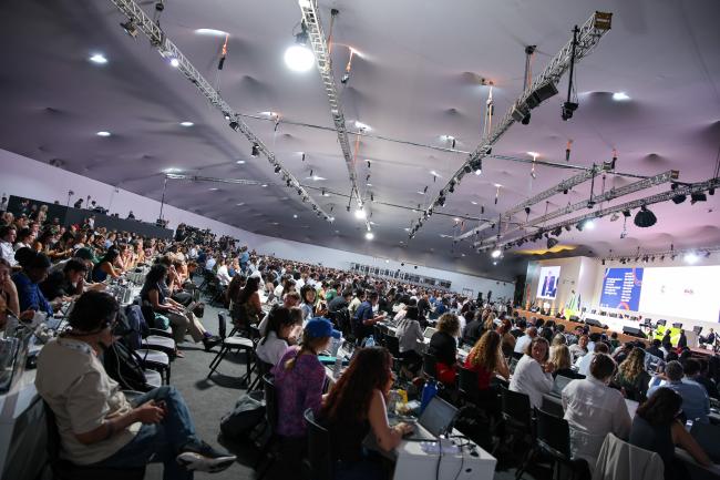 View of the room during the closing plenary