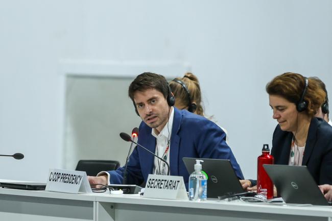 Tulio Andrade, COP 30 Presidency