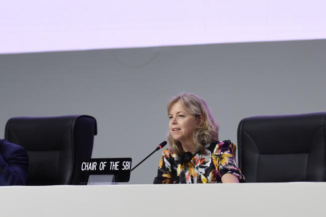 Subsidiary Body for Implementation (SBI) Chair Julia Gardiner, Australia