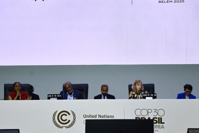 View of the dais between the SBSTA and SBI joint plenary