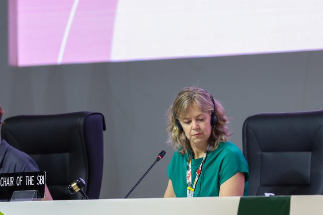 Subsidiary Body for Implementation (SBI) Chair Julia Gardiner, Australia