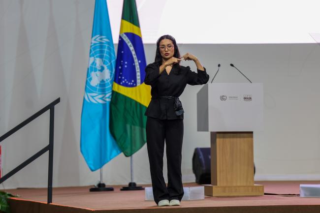 Sign language translation