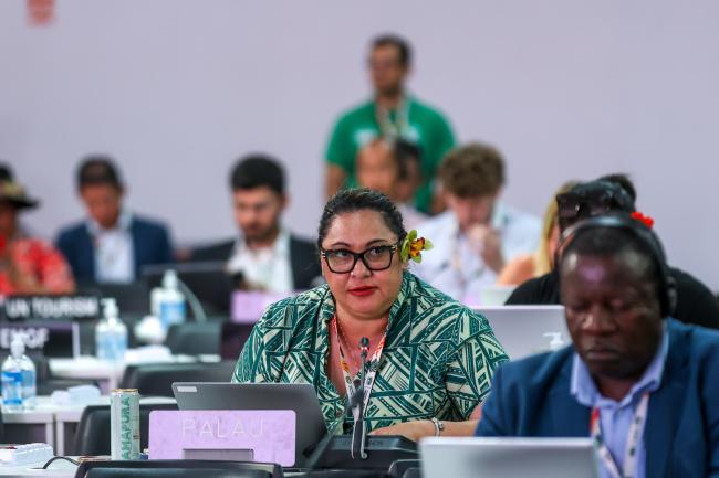 Anne Rasmussen, speaking on behalf of the Alliance of Small Island States (AOSIS)