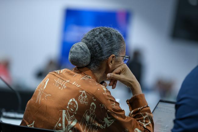 Marina Silva, Minister of the Environment and Climate Change, Brazil