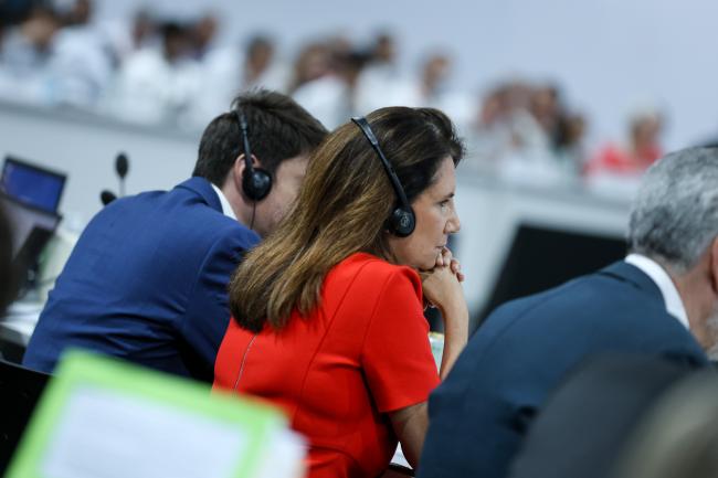 COP 30 Chief Executive Officer Ana Toni