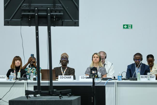 View of the dais during the workshop