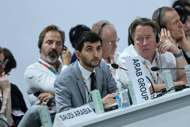 Mohammad Ayoub, Saudi Arabia