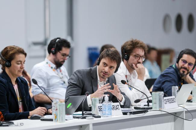 Túlio Andrade, COP 30 Presidency