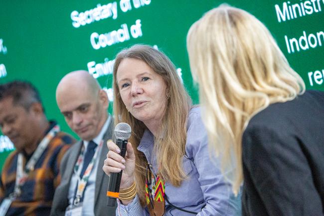 Vanessa Grazziotin, Executive Director, Amazon Cooperation Treaty Organization (ACTO) - Global Fire Hub - COP30 - 17Nov