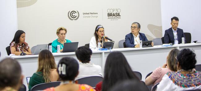 View of the Panelist - - Guatemala-NbS-BioCarbon - COP30 - 13 Nov 2025