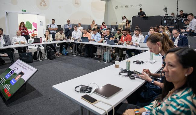 View of the Room - Accelerating the legacy of Rio - COP30 - 15Nov