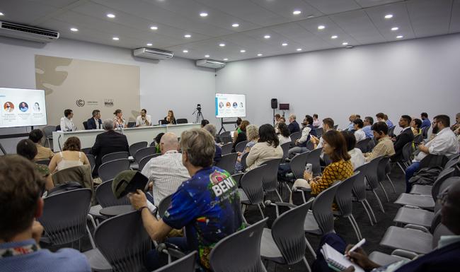 View of the room - Climate Finance for Agrifood - COP30 - 18Nov