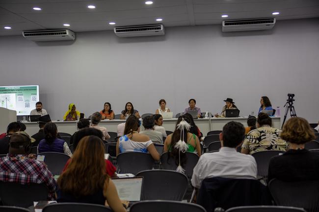 view of the room - Recognition of indigenous Peoples in NDCs - COP30 - 12 Nov 2025