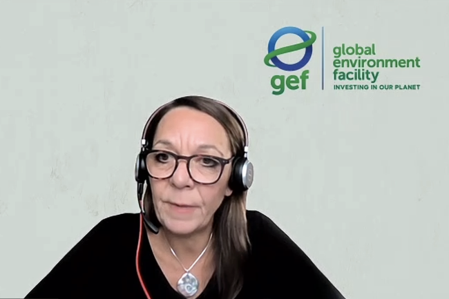 Gabriella Richardson Temm Lead, GEF Small Grants Program, GEF - CSO GEF70 - 12 Dec 2025.png