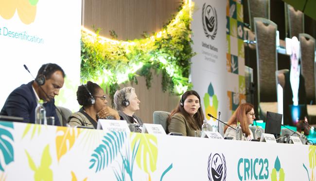 1 Policy frameworks and thematic topics; sand and dust storms -UNCCD-CRIC23-2Dec2025