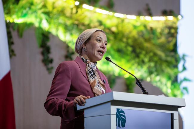 4 Yasmine Fouad, Executive Secretary, UNCCD -UNCCD-CRIC23-1Dec2025
