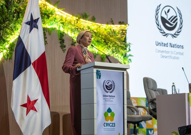 Yasmine Fouad, Executive Secretary, UNCCD -UNCCD-CRIC23-1Dec2025