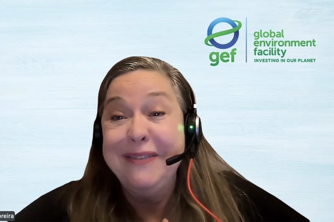 Adriana Gonçalves Moreira, Lead, Partnerships Division, Global Environment Facility - CSO GEF70 - 12 Dec 2025