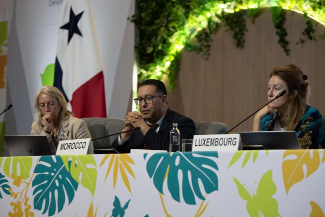 Afternoon Panel 1 -UNCCD-CRIC23-4Dec2025