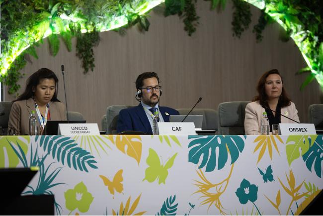 Afternoon Panel 2 -UNCCD-CRIC23-4Dec2025