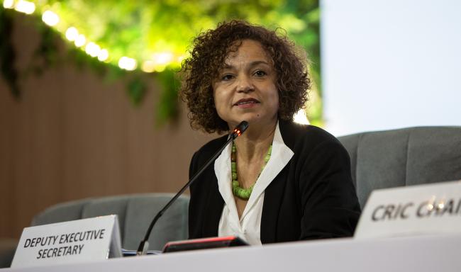 Andrea Meza Murillo, Deputy Executive Secretary, UNCCD -UNCCD-CRIC23-5Dec2025