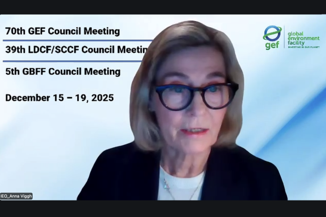 Anna Viggh, IEO - GEF70 - 18Dec