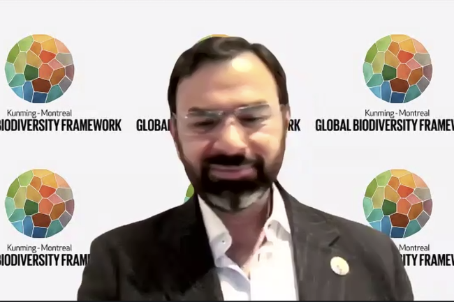 Asad Naqvi, CBD Secretariat - GEF70-15Dec