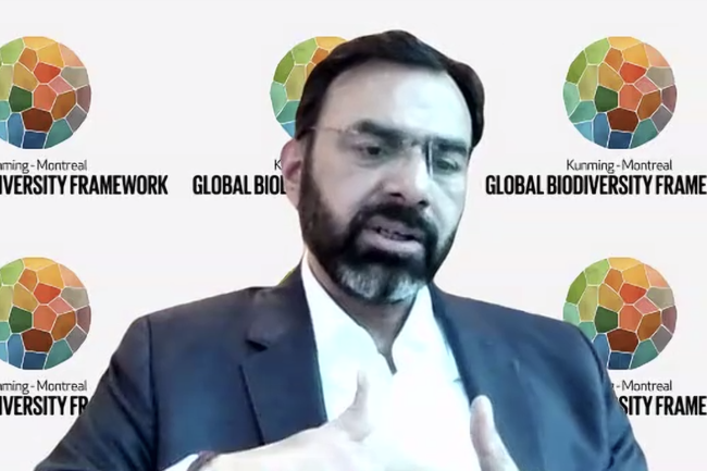 Asad Naqvi, Director, Implementation Support Division, Convention on Biological Diversity (CBD) 