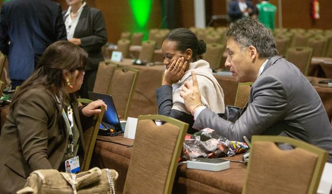 Between Session 2 -UNCCD-CRIC23-1Dec2025