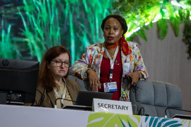 Between Session 3 -UNCCD-CRIC23-1Dec2025