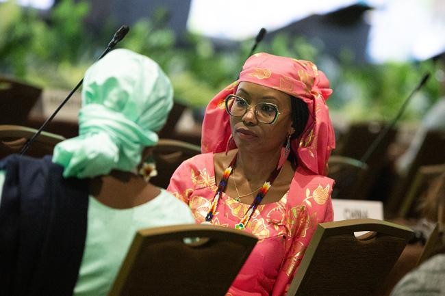 Between Sessions 1 -UNCCD-CRIC23-3Dec2025